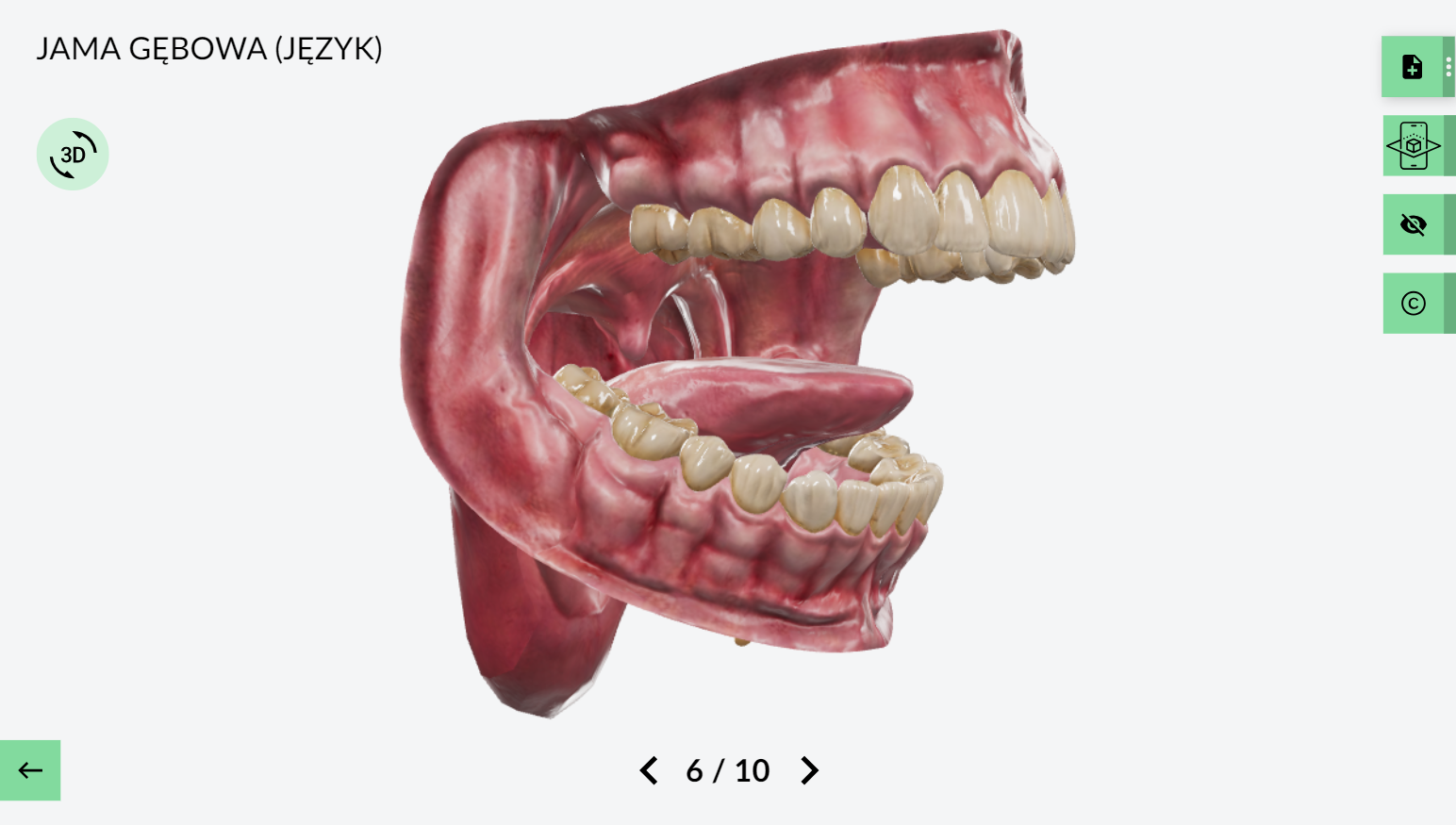 eduLabVR - model 3D zębów na lekcje biologii