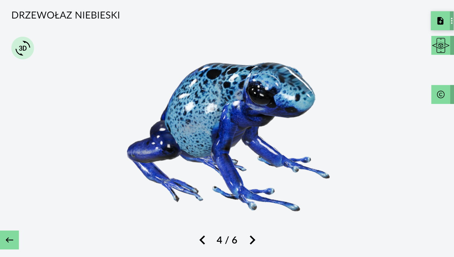 eduLabVR - model 3D drzewołaza niebieskiego na lekcje biologii