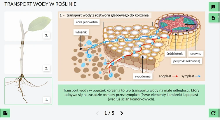 Wirtualne Laboratoria Przyrodnicze Biologia - animacje zjawisk biologicznych i filmy edukacyjne